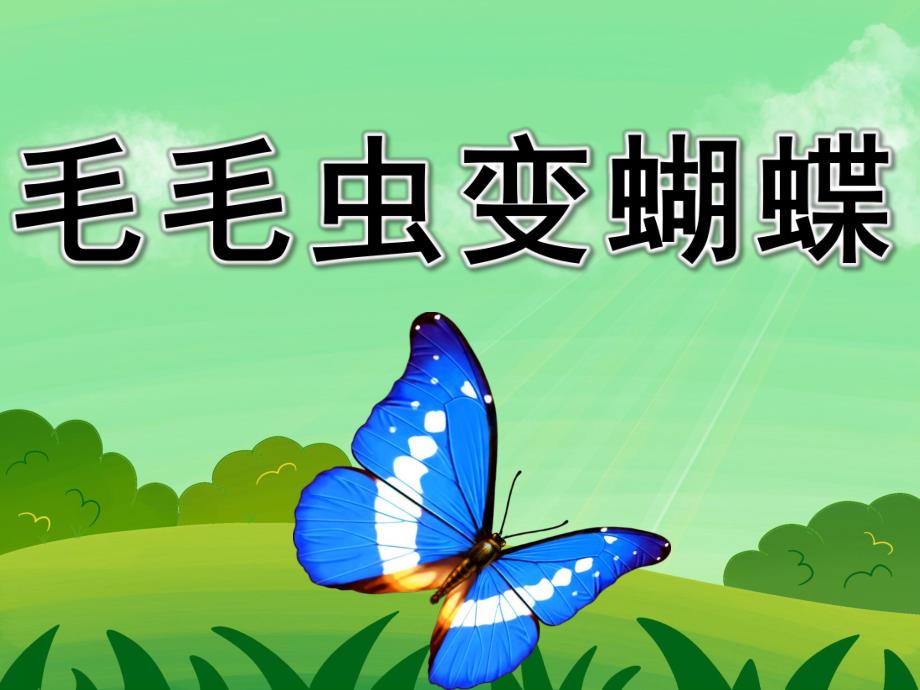 小班科学公开课《毛毛虫变蝴蝶》PPT课件教案PPT课件.ppt_第1页