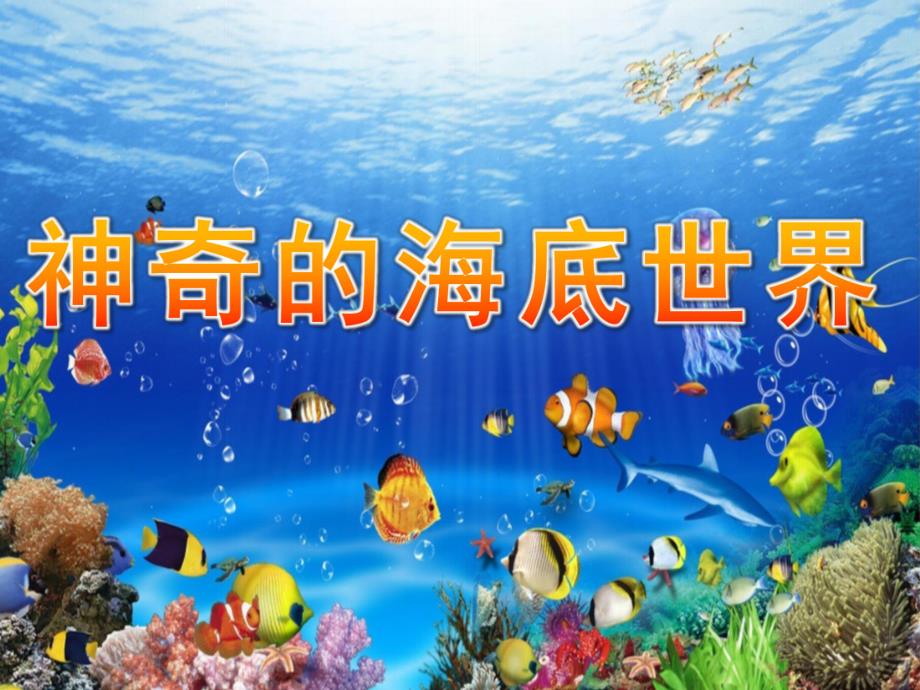 大班科学《神奇的海底世界》PPT课件幼儿园海底世界ppt.ppt_第1页