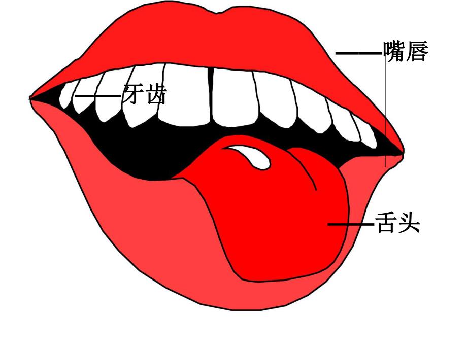 小班主题《鼻子嘴巴》PPT课件小班主题-鼻子-嘴巴-课件.ppt_第3页