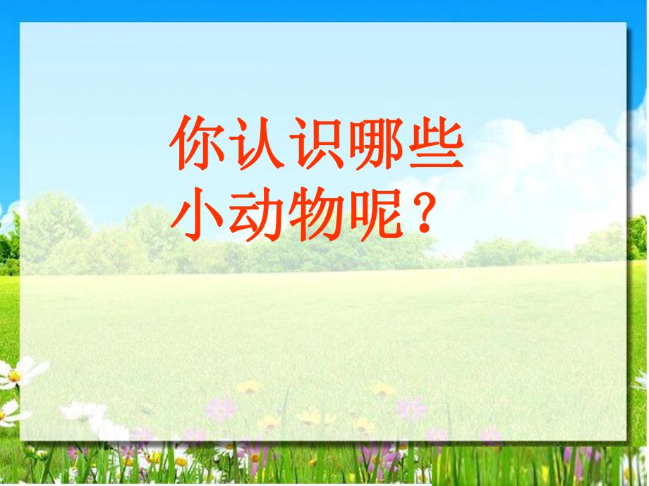 幼儿园《我们动物乐园》PPT课件我们动物乐园.ppt_第2页