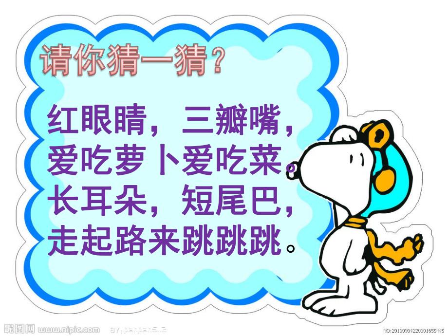 幼儿园《认识小兔子》PPT课件教案认识小兔子.ppt_第2页