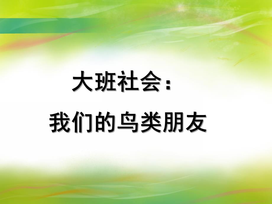 大班社会《我们的鸟类朋友》PPT课件社会：我们的鸟类朋友.ppt_第1页