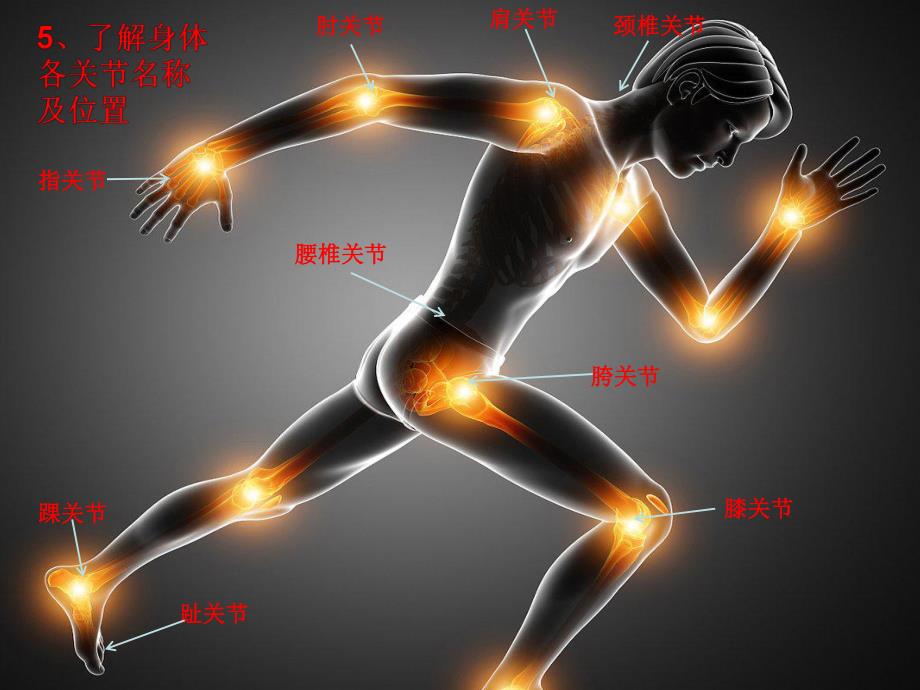 大班健康《会动的关节》PPT课件教案微课件.ppt_第3页