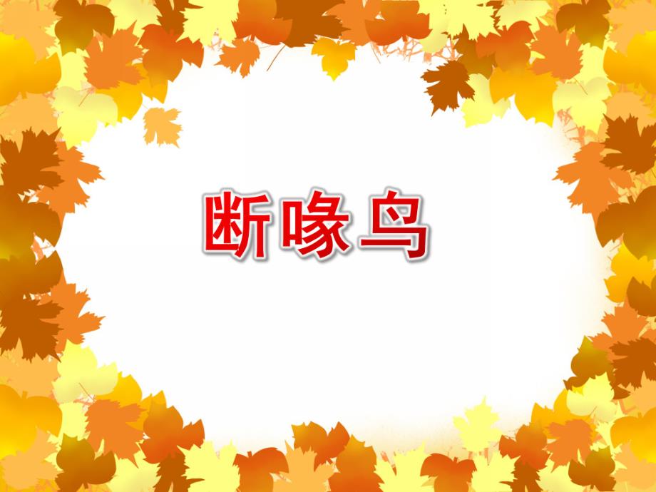 大班语言《断喙鸟》PPT课件教案大班语言《断喙鸟》课件.ppt_第1页