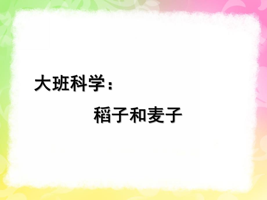 大班科学《稻子和麦子》PPT课件教案稻子和麦子.ppt_第1页