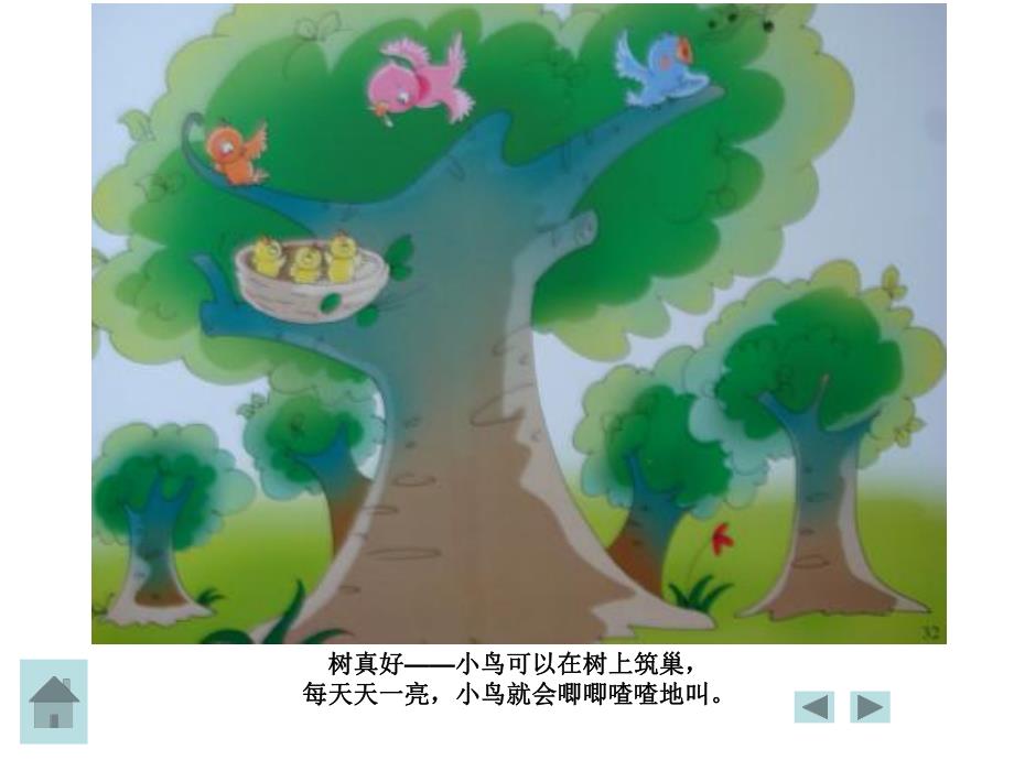 幼儿园树真好PPT课件教案树真好.ppt_第2页