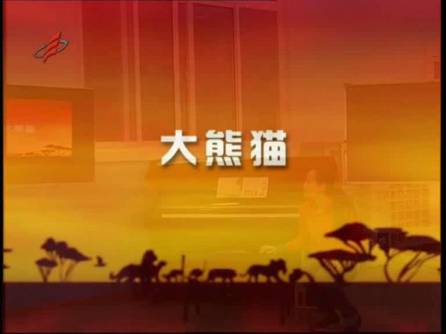 大班社会《宝贝爱宝贝》PPT课件教案幼儿园大班社会《宝贝爱宝贝》课件.ppt_第3页