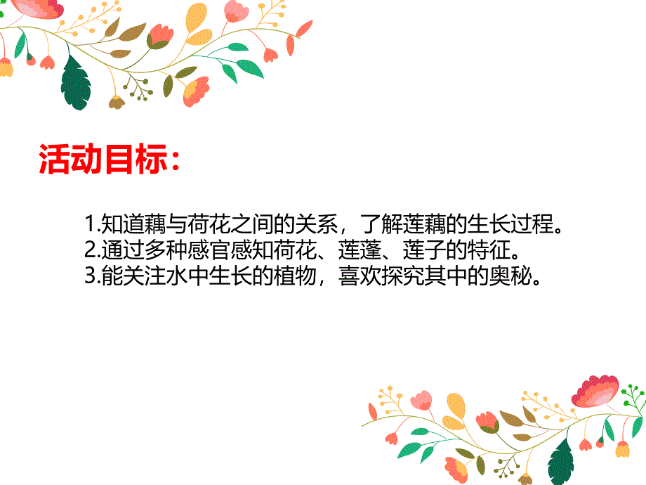 大班科学活动《莲与藕》PPT课件教案PPT课件.ppt_第2页