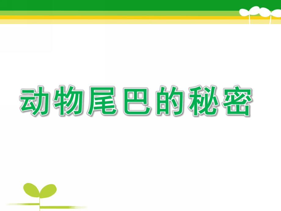 大班科学《动物尾巴的秘密》PPT课件教案动物尾巴的秘密.ppt_第1页