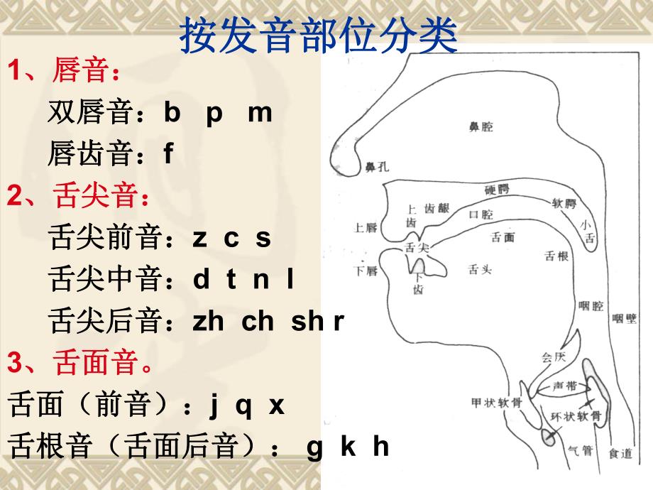 幼儿园普通话声母分析与训练PPT课件普通话声母分析与训练(详细版.ppt_第3页