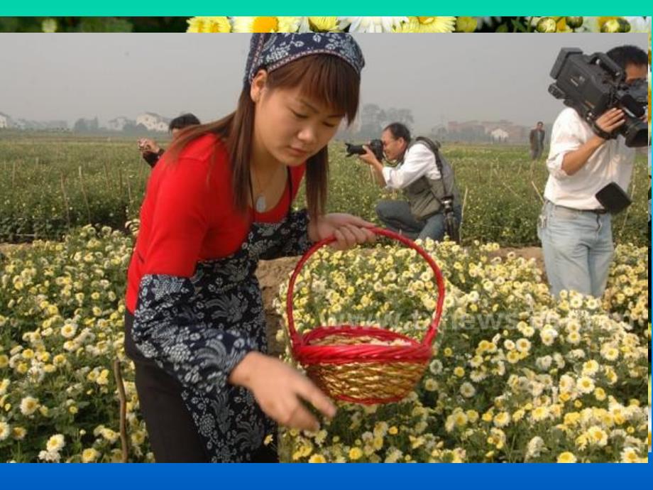 大班科学《神奇中草药》PPT课件教案大班科学-神奇中草药.ppt_第2页