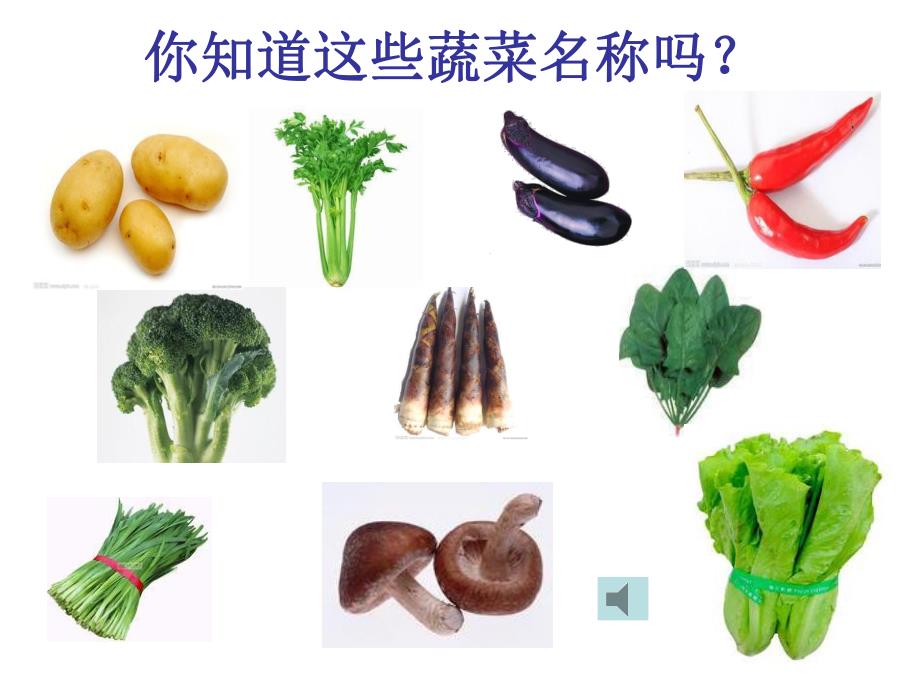 大班科常活动《好吃的蔬菜》PPT课件教案ppt课件.ppt_第2页