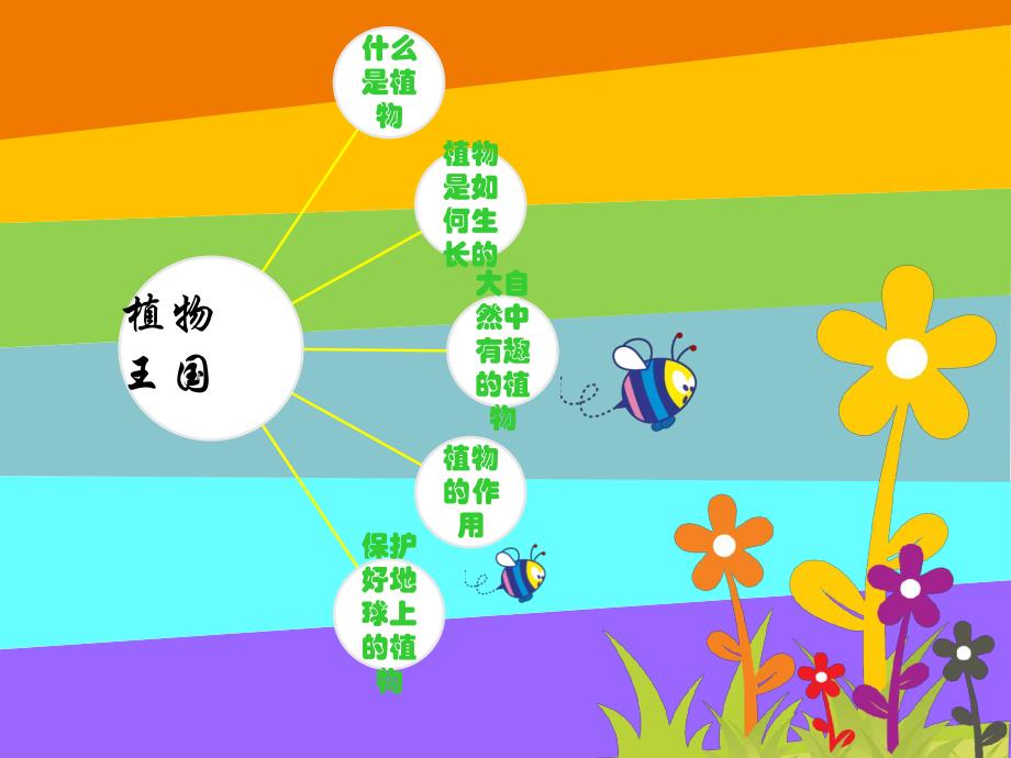 幼儿园植物的生长过程PPT课件教案幼儿园植物.ppt_第3页