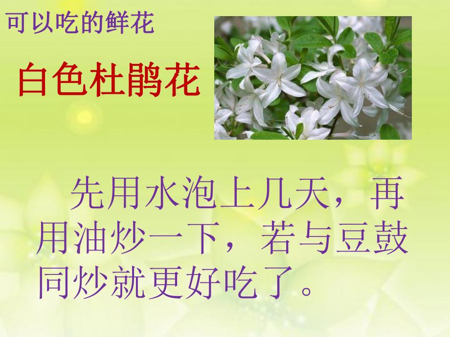 大班科学《可以吃的鲜花》PPT课件大班科学《可以吃的鲜花》PPT课件.ppt_第3页