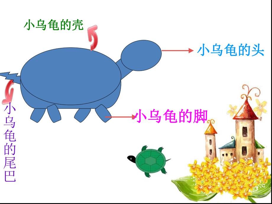 小班科学活动《认识乌龟》PPT课件教案科学教案小班认识小乌龟ppt课件.ppt_第3页