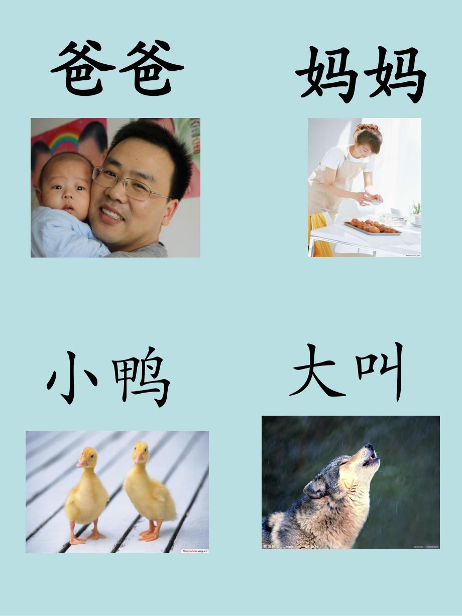 小班《右脑识字》PPT课件小班右脑识字.ppt_第2页