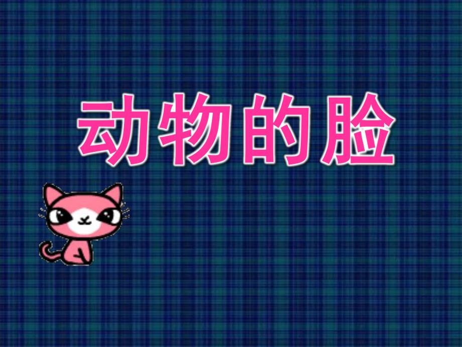 大班美术《动物的脸》PPT课件动物的脸.ppt_第1页