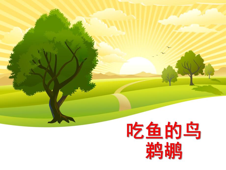 大班科学《吃鱼的鸟》PPT课件吃鱼的鸟.ppt_第1页