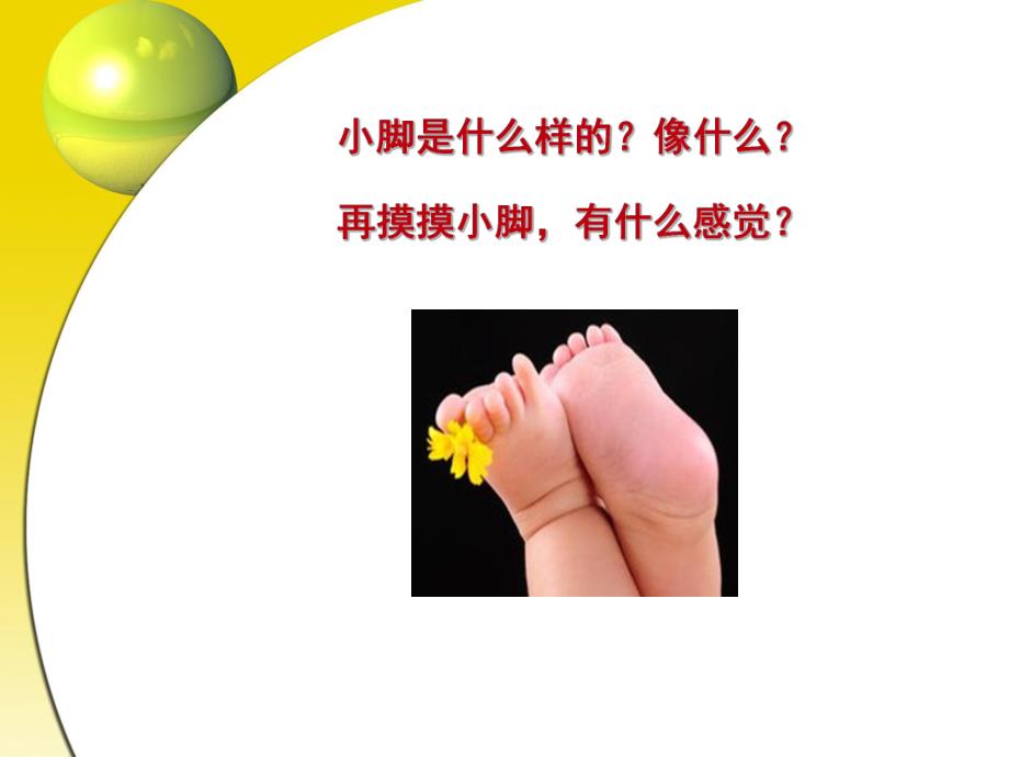 小班科学活动《我的小小脚》PPT课件教案小班科学活动.ppt_第2页