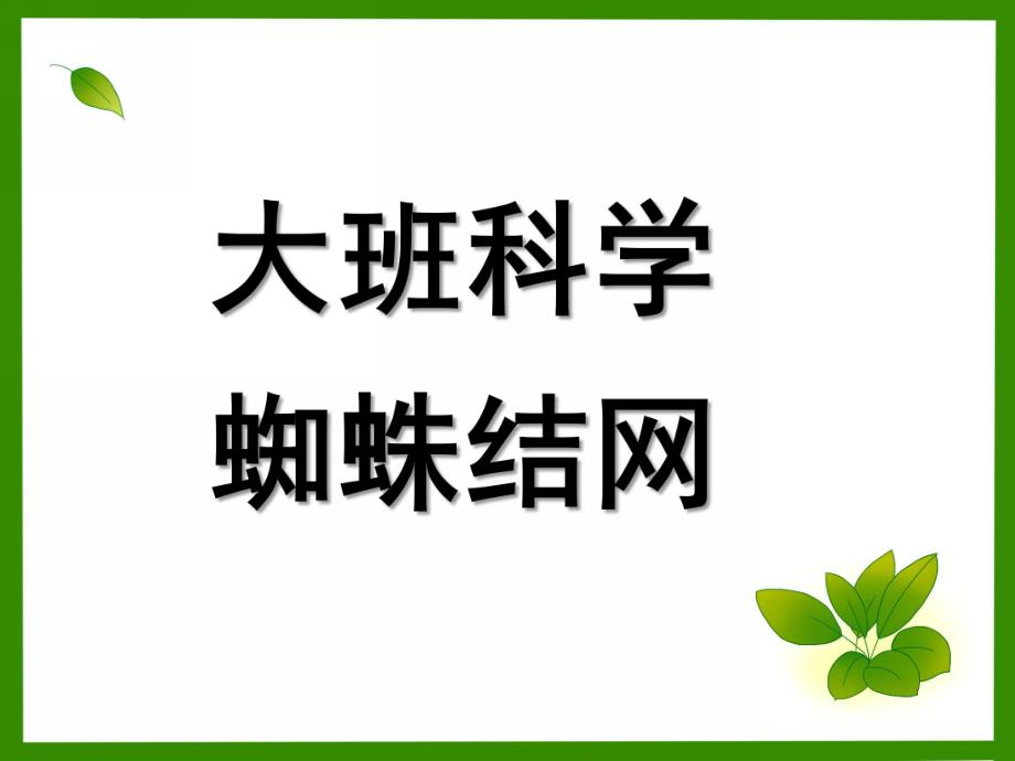 大班科学《蜘蛛结网》PPT课件大班科学：蜘蛛结网.ppt_第1页