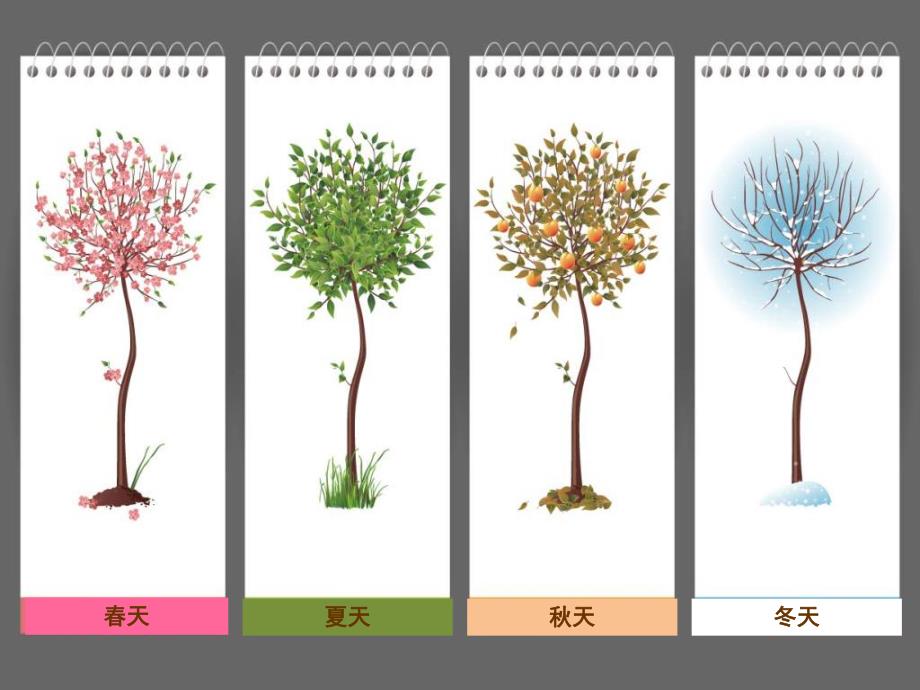 大班语言课件《神奇的树》PPT课件教案语言《神奇的树》.ppt_第2页