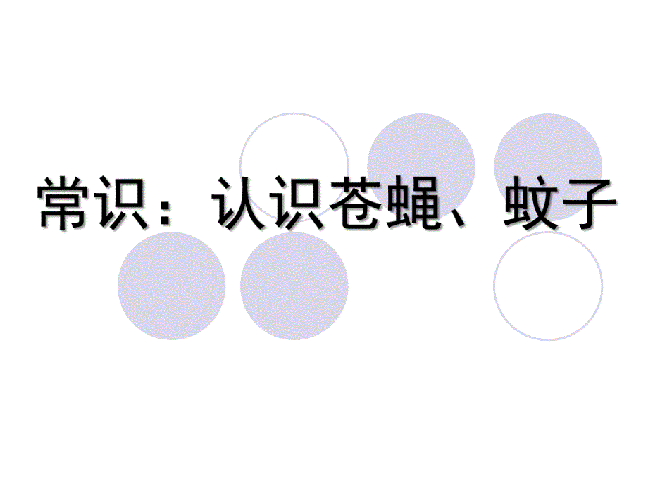 幼儿园常识《认识苍蝇、蚊子》PPT课件常识：认识苍蝇、蚊子.ppt_第1页