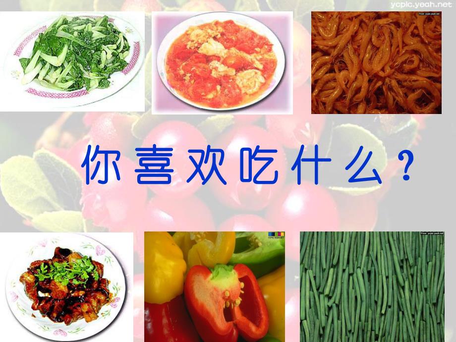 大班《蔡伦造纸》PPT课件教案幼儿园不挑食不偏食ppt课件.ppt_第2页