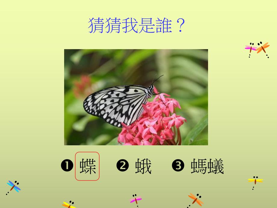 幼儿园昆虫变变变PPT课件教案昆虫变变变.ppt_第3页