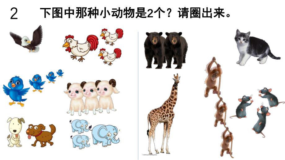 小班数学《连线游戏》PPT课件幼儿小小班连线游戏.ppt_第3页