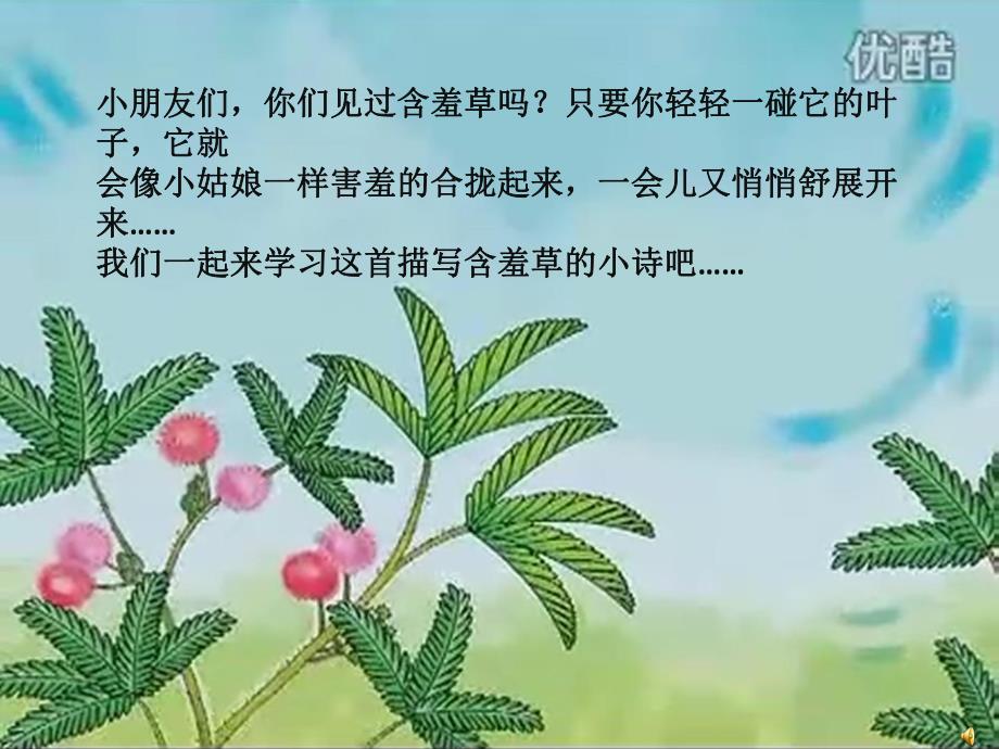 大班语言活动《含羞草》PPT课件教案配音音乐PPT课件.ppt_第2页