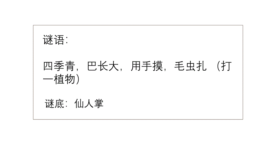 大班美术《拍拍仙人掌》PPT课件大班美术《拍拍仙人掌》PPT课件.ppt_第2页