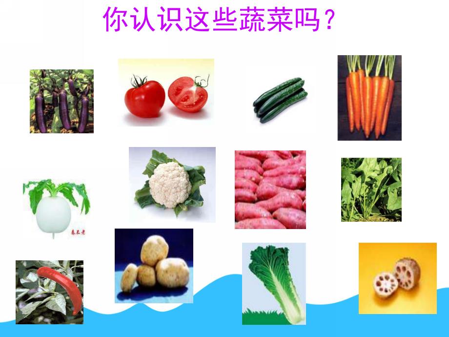 小班健康《可爱的蔬菜宝宝》PPT课件教案小班《可爱的蔬菜宝宝》课件.ppt.ppt_第2页