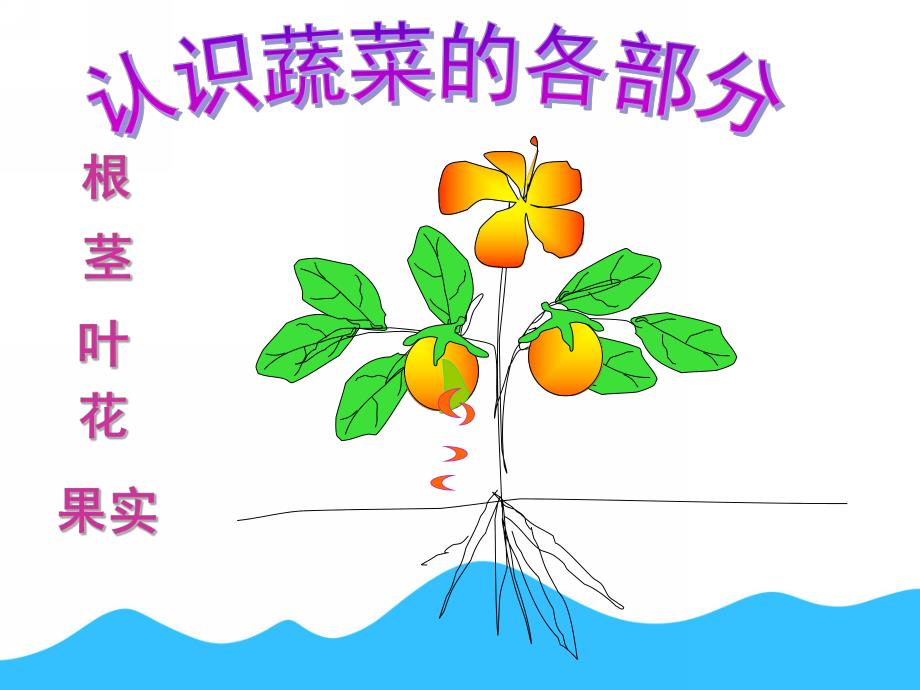 小班健康《可爱的蔬菜宝宝》PPT课件教案小班《可爱的蔬菜宝宝》课件.ppt.ppt_第3页