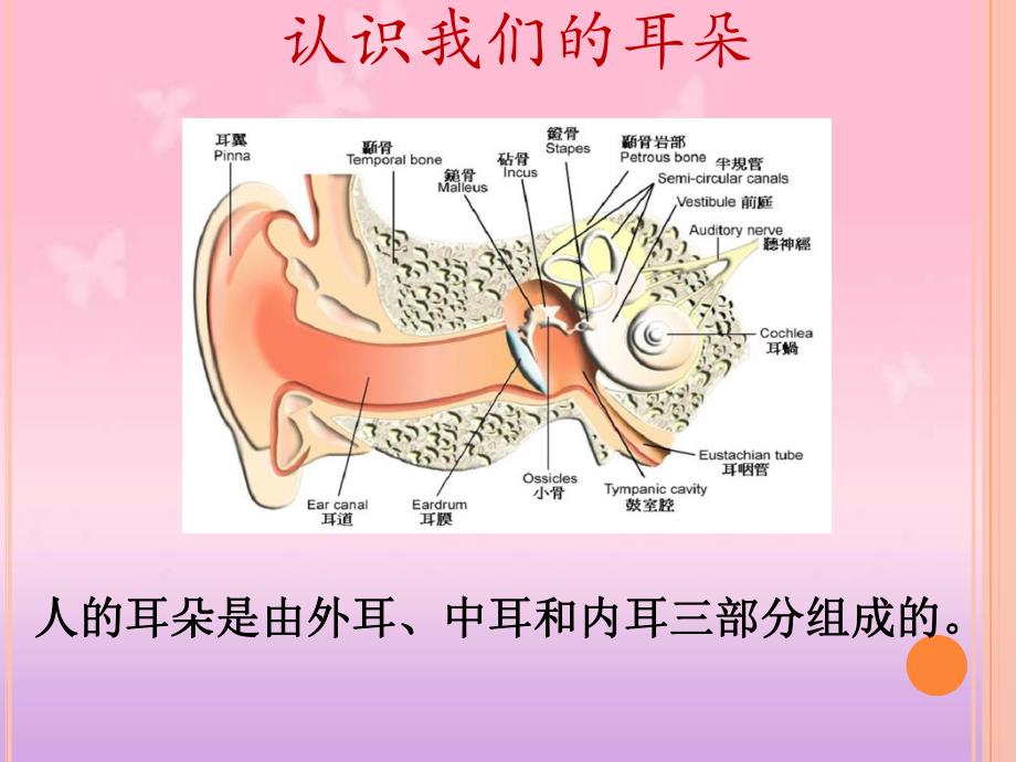 大班健康《健康日》PPT课件教案健康日.ppt_第3页