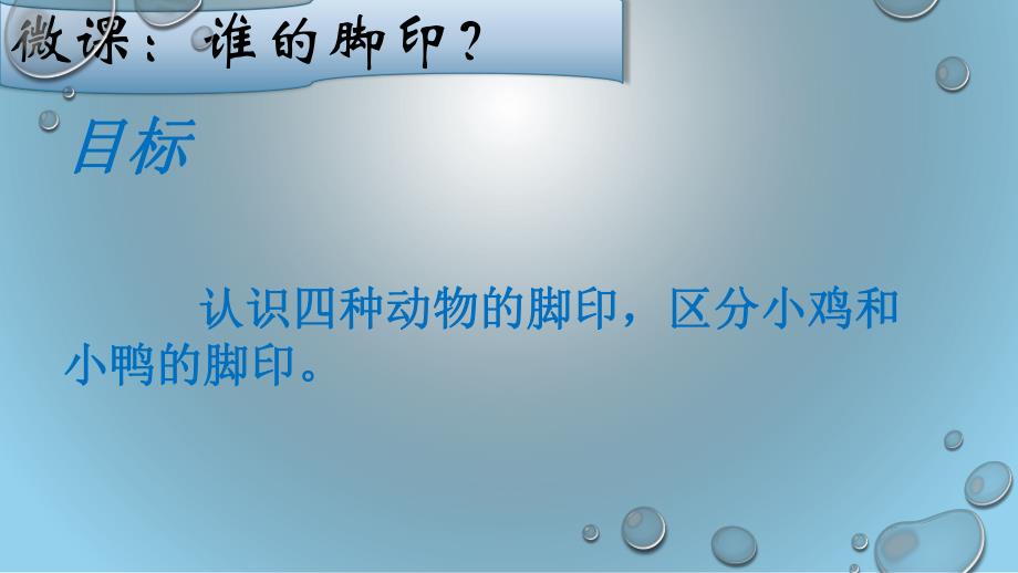 小班科学《谁的脚印》PPT课件教案微课件.ppt_第2页