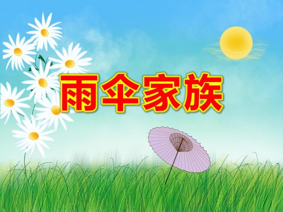 小班科学《雨伞家族》PPT课件教案幼儿园课件：雨伞家族—小班—科学.ppt_第1页