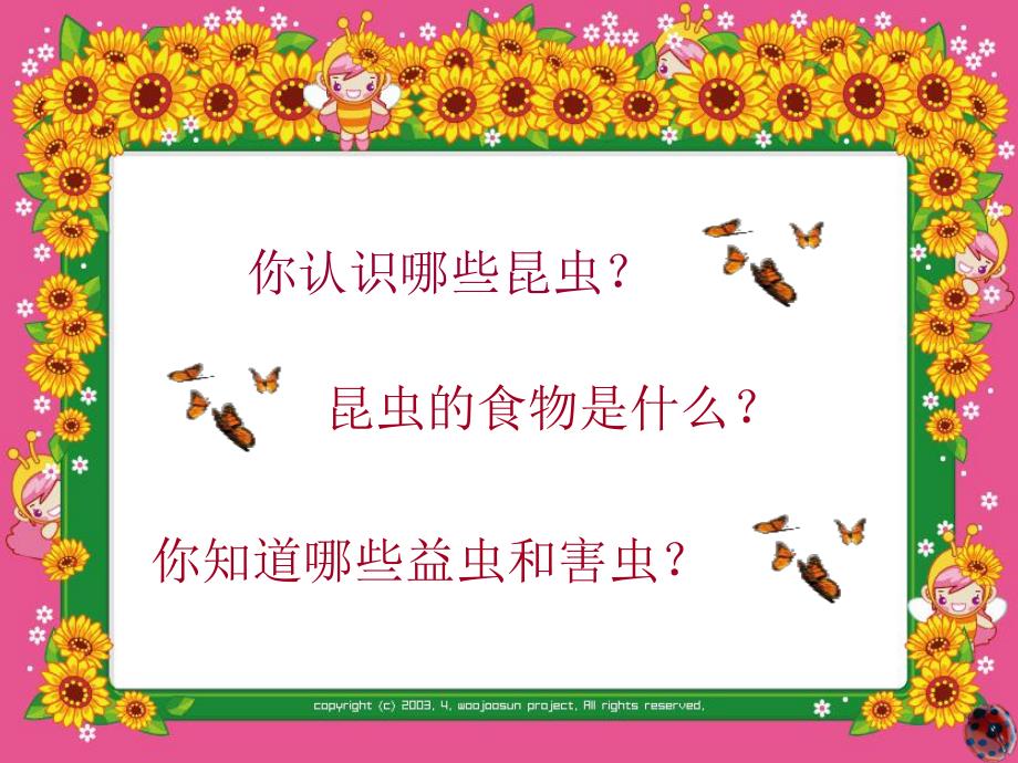 大班科学活动《有趣的昆虫》PPT课件教案PPT课件.ppt_第3页