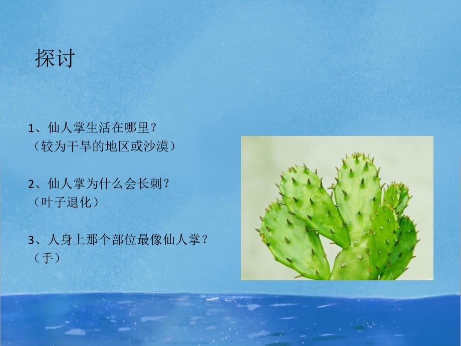 小班科学《可爱的仙人掌》PPT课件3可爱的仙人掌(小班.ppt_第3页