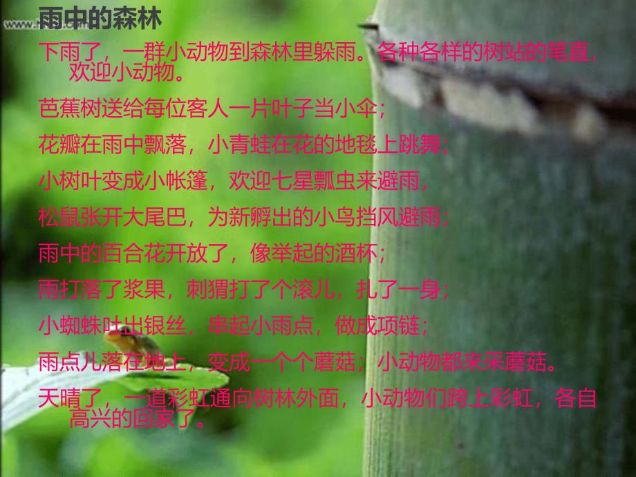 雨中的森林PPT课件教案图片雨中的森林.ppt_第2页