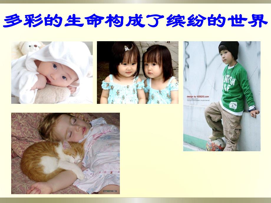 幼儿园生命教育主题班会PPT课件幼儿园生命教育主题班会PPT课件.ppt_第2页