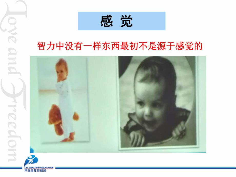 幼儿园儿童认知发展过程PPT课件儿童认知发展过程.ppt_第2页