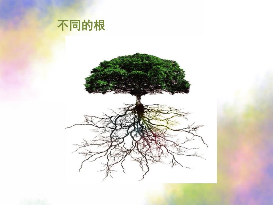 大班科学《植物的根》PPT课件教案科学：植物的根.ppt_第3页