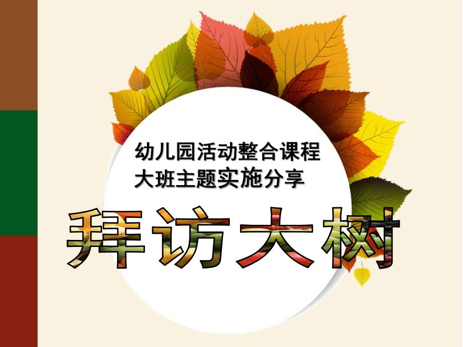 大班主题科学《拜访大树》PPT课件拜访大树.ppt_第1页