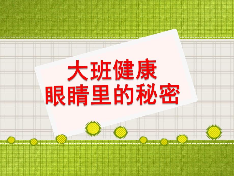 大班健康保健《眼睛的秘密》PPT课件教案大班健康眼睛的秘密.ppt_第1页