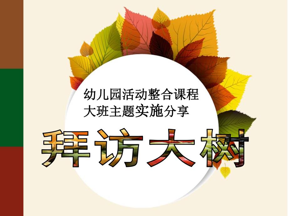 幼儿园活动整合课程大班“拜访大树”主题实录分享PPT课件拜访大树.ppt_第1页