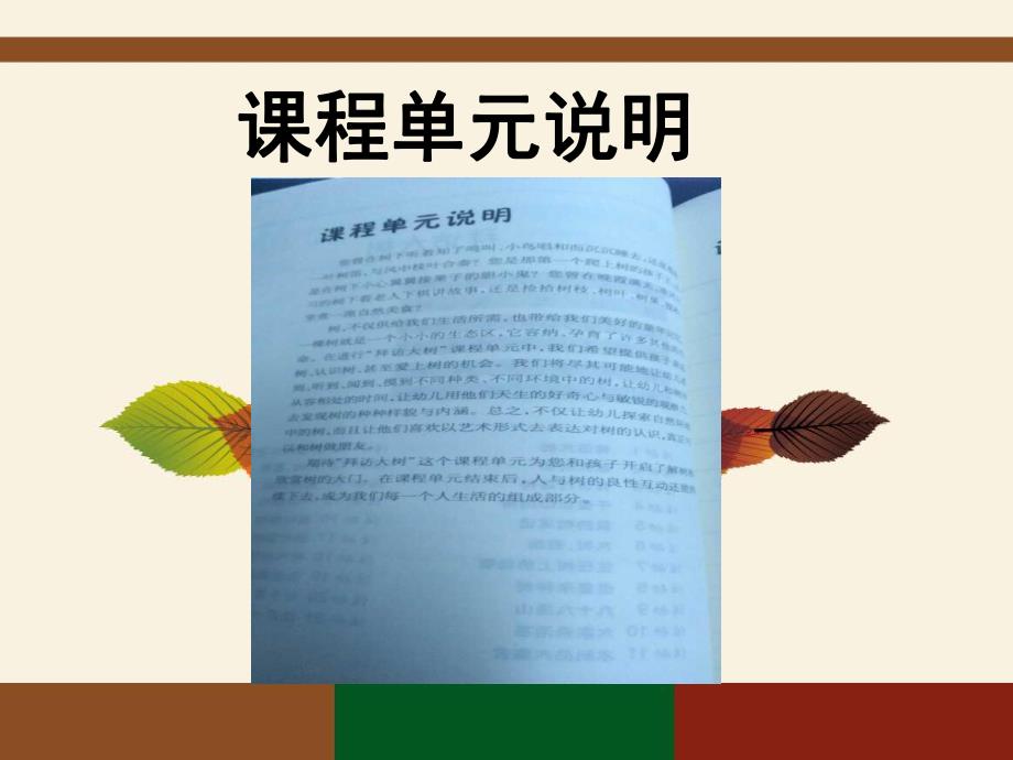 幼儿园活动整合课程大班“拜访大树”主题实录分享PPT课件拜访大树.ppt_第3页