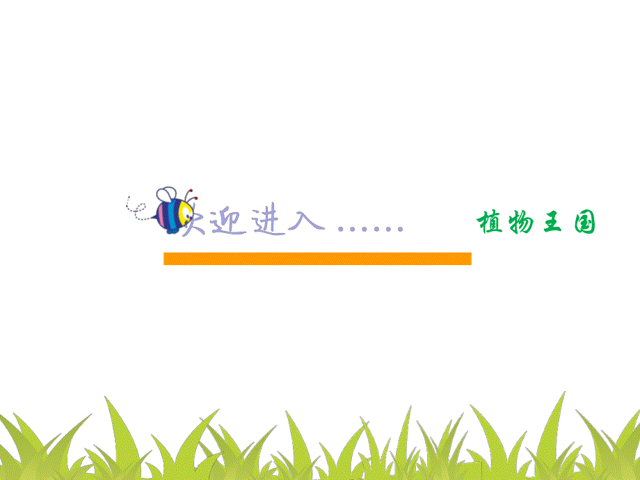 幼儿园植物PPT课件幼儿园植物.ppt_第2页