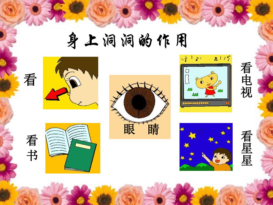 幼儿园我身上的洞洞PPT课件幼儿园我身上的洞洞PPT课件.ppt_第3页