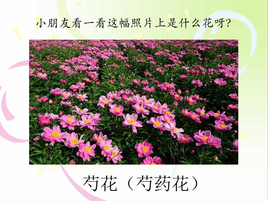 大班数学《挂彩灯（6的分合）》PPT课件大班数学《挂彩灯（6的分合）》PPT课件.ppt_第3页