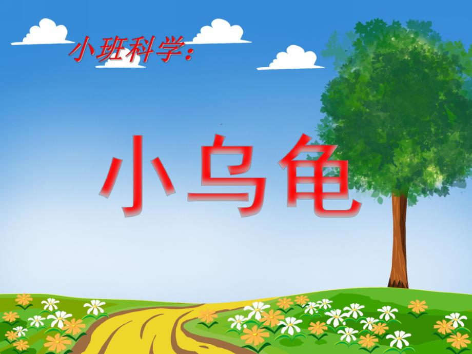 小班科学《小乌龟》PPT课件小班科学《小乌龟》PPT课件.ppt_第1页